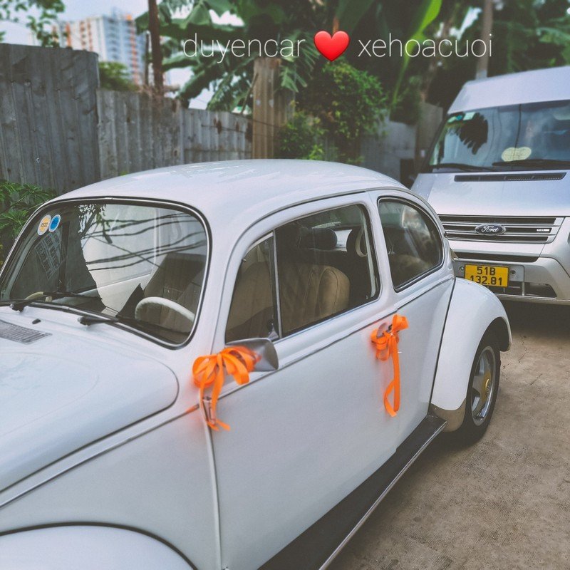 Xe cưới con bọ cổ điển Màu Trắng volkswagen 8