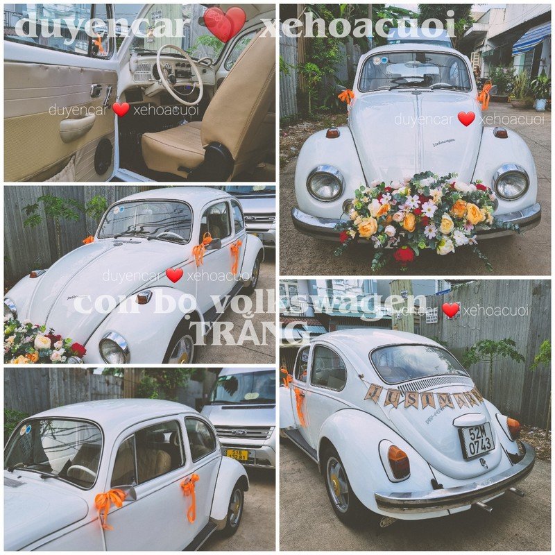 Xe cưới con bọ cổ điển Màu Trắng volkswagen 0