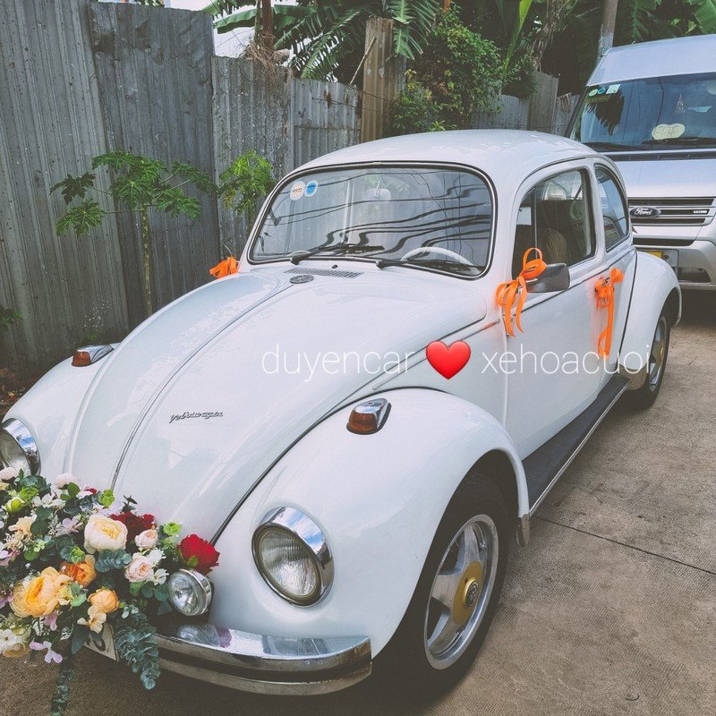 Xe cưới con bọ cổ điển Màu Trắng volkswagen 5
