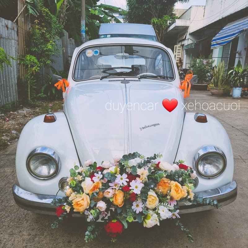 Xe cưới con bọ cổ điển Màu Trắng volkswagen 3