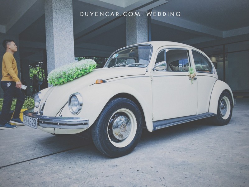 Xe Cưới Cổ Điển Vintage - Classic dòng bọ volkswagen 3