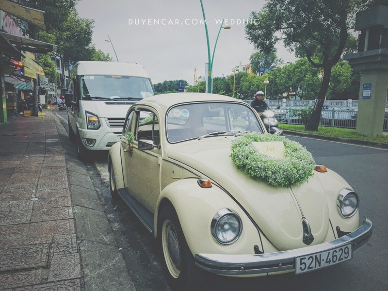 Xe Cưới Cổ Điển Vintage - Classic dòng bọ volkswagen 1