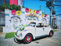 Xecicconbtrngngy532023rcduthc