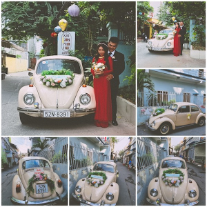 Xe cưới con bọ cổ điển Màu Kem volkswagen